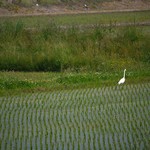 あきた白神温泉ホテル - 