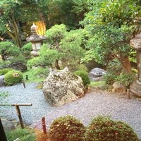 がんこ 高瀬川二条苑 - 素晴らしい庭園でした。