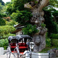 イル ビッライオ - 