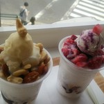 スノーカップ - 