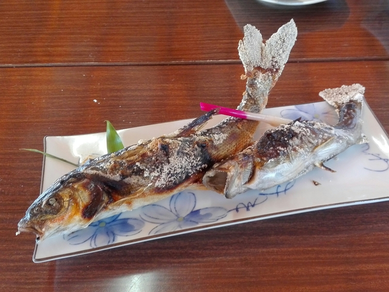 鯉西つけば name=