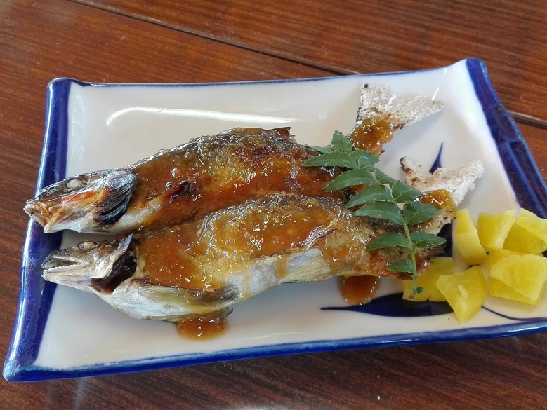 鯉西つけば name=