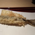 てんぷら 近藤 - 雌鯒