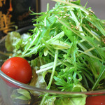 Pesticide-free lettuce salad