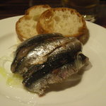 背黒鰯のアンチョビ