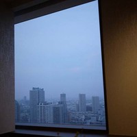 横浜 星のなる木 - 