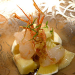 ドディチ・マッジョ - 