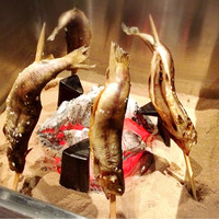 銀座方舟 大吟醸いろり店 - 