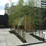 博多天麩羅 きんのたかお - 