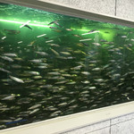 みっちゃんの魚や食堂 - 