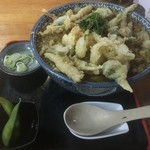Tatsunoi - ひやかけ野菜天　大盛り