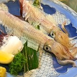 いかの活き造り