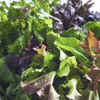 Organic pesticide-free vegetables from Oshima Farm, Nakagawa Village, Nagano Prefecture