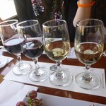 Napa Valley Wine Train - 