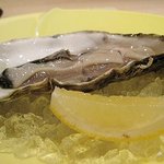 まき村 - 北海道釧路町の仙鳳趾（せんぽうし）の生牡蠣