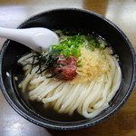 讃岐うどん わ - 南高梅かけうどん 冷