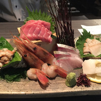 宇田川 紫扇 - 