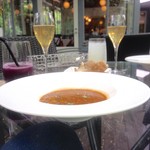 マジカメンテ ビバッコ - 