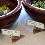 Dining & Bar TENQOO - サラダ・前菜ブッフェ７