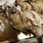 オステリア ポルタロッサ - 旬のお魚、産地からの直送です