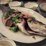 ブラッスリー・ハル - 