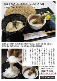 Azumino An - 熟成十割蕎麦と大和芋のとろろ丼セット