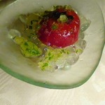 ヒカリヤ ニシ - トマトのシャーベットとミントのジュレ