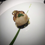 レフェルヴェソンス - 