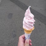 ひがしもこと芝桜公園売店 - 芝桜ソフト300円