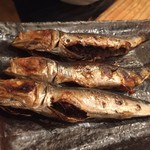 立ち吞み酒場 よかたい - 160609福岡　よかたいほろよい通り店　めざし241円