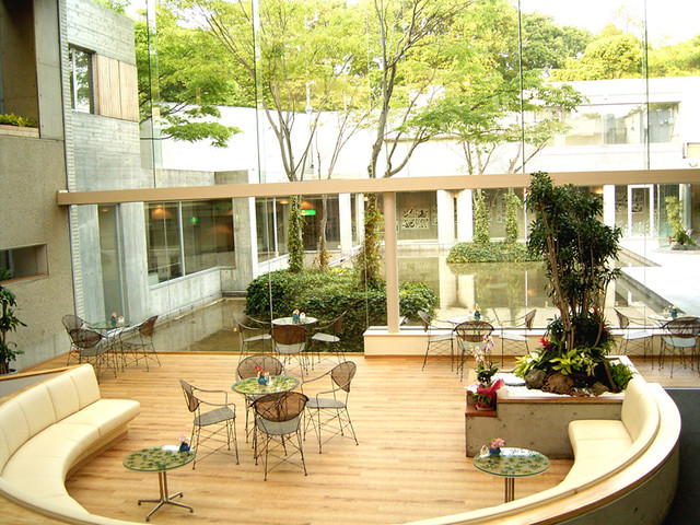 Ai Island Van Ever photo 5