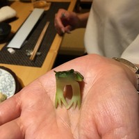 ふじ原 - 