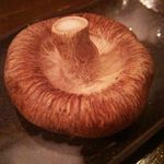 活食・隠れ酒蔵 かけはし 総本店 - 