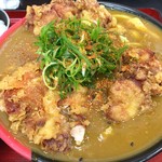 極楽うどん TKU - 七味をかけてピリッとね！(o^^o)