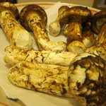 チョビッグマッタケ