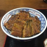 まさむ根 - うなぎ丼(上)