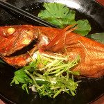 Sakana To Sake Hanatare - 