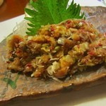 海石 - ２０１６年４月再訪問