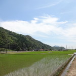 あさむらいちご園 - 店舗の周りの風景