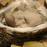 鞍馬口 寿星 - 岩牡蠣
      
      2016.06訪問時