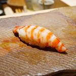 鮨 さいとう - 車海老