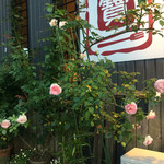 食堂 寶舎 - 入口近くにピンクのバラが満開でした