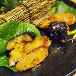 恵比寿地酒・個室居酒屋 信長 - 名古屋コーチンの創作焼き