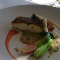 ツキ シュール ラメール - 