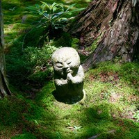 芹生 - 
