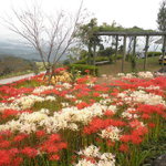 カナイシ - 鉢巻山の広場から