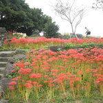 カナイシ - 頂上には小さな祠を奉ってました