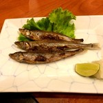 RESTAURANT TAKUMI - ししゃも