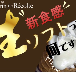 レクラン ドゥ ルコルテ_2