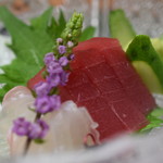 日の出 - 鯛 伊勢鮪 あしらい一式（向付け）